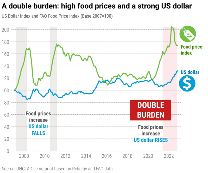 As Global Hunger Remains Intractable, Food Price Volatility Accelerates ...